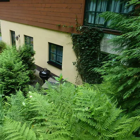 Uhu Neben Der Schrammsteinbaude * Bad Schandau